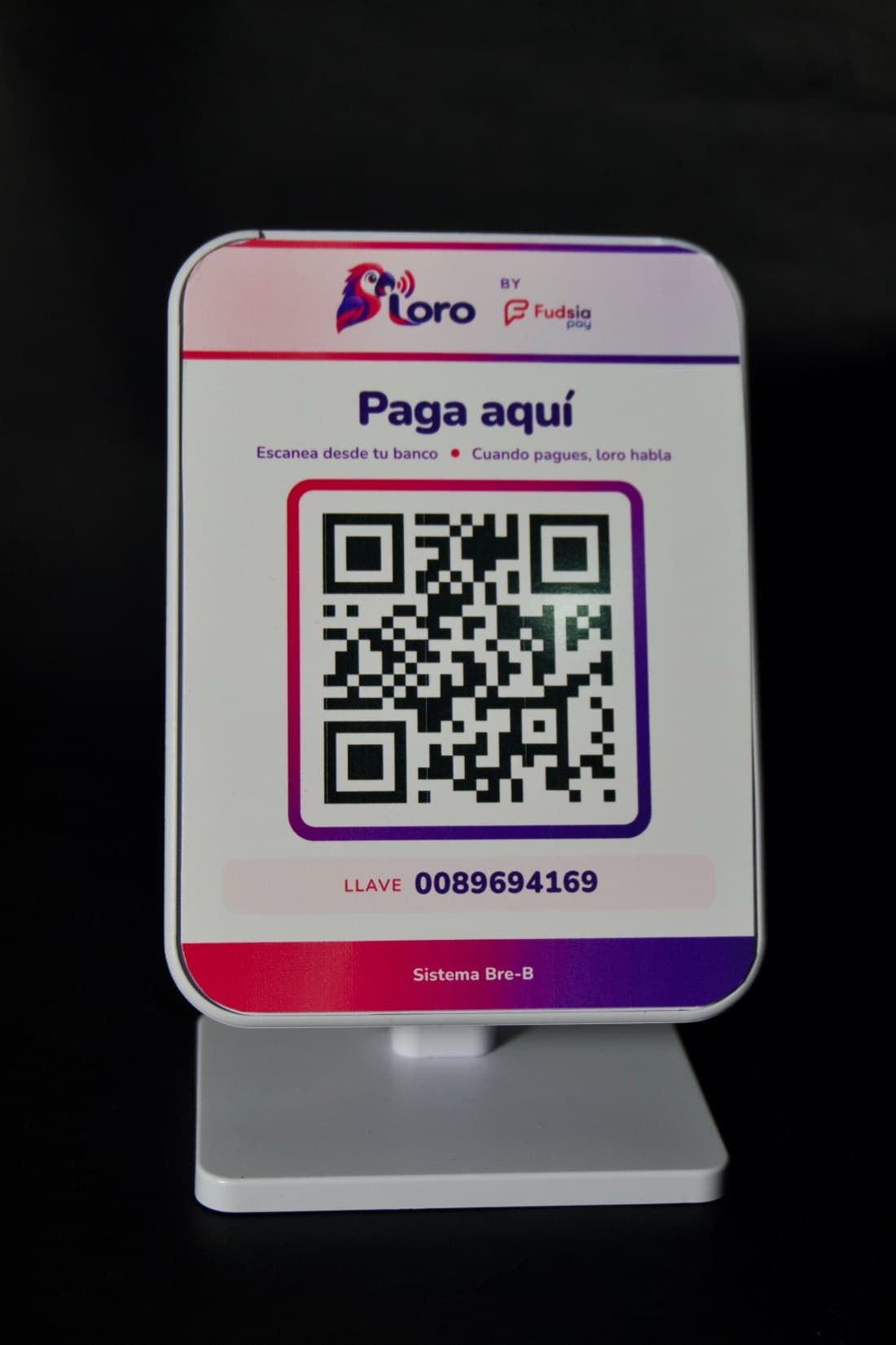 El frente de Loro